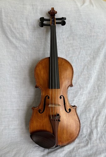 Violino etichettato - violino,