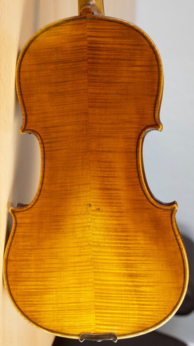 Vecchio violino - violino,